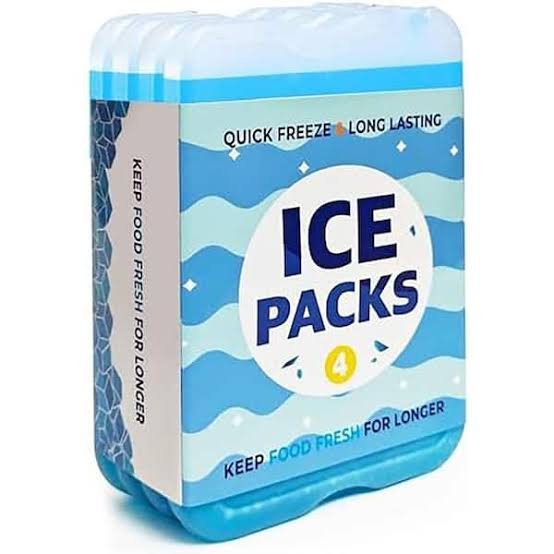BreezaMax Ice Packs (4-Pack)